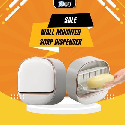 Wall Mounted Soap Dispenser