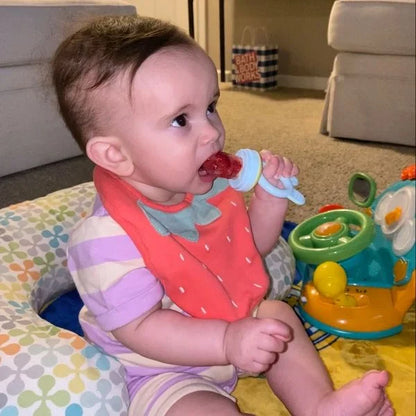 Baby Fruit Feeder Pacifier