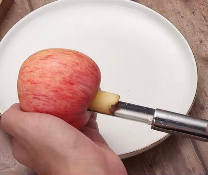Stainles Steel Fruit Seeds Remover